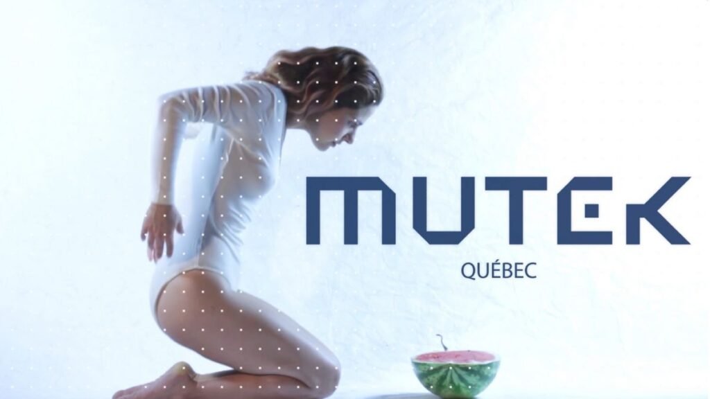 Andrea Ludovic Mutek Montreal 2018